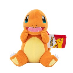 CHARMANDER DEI POKEMON...