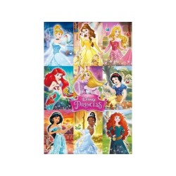 Poster Disney Princess...