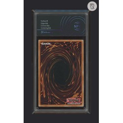 DRAGO BIANCO OCCHI BLU DI YU-GI-OH CARTA GRADATA 9.5 IN CASE RIGIDO AI GRADING + CERTIFICATO DIGITALE