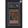 SLIFER IL DRAGO DEL CIELO DI YU-GI-OH CARTA GRADATA 9.5 IN CASE RIGIDO AI GRADING + CERTIFICATO DIGITALE