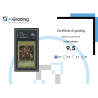 DRAGO ALATO DI RA DI YU-GI-OH CARTA GRADATA 9.5 IN CASE RIGIDO AI GRADING + CERTIFICATO DIGITALE