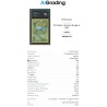 VENUSAUR DI POKEMON CARTA GRADATA 9.5 ENG IN CASE RIGIDO AI GRADING + CERTIFICATO DIGITALE