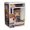 SAMWISE GAMGEE DI IL SIGNORE DEGLI ANELLI FUNKO POP 445 GLOW IN THE DARK