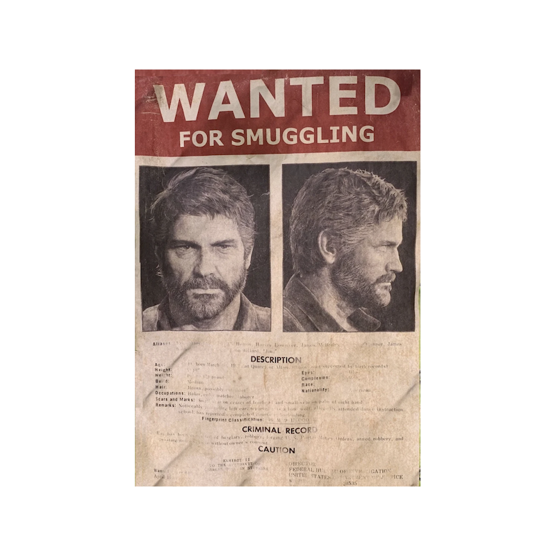 POSTER WANTED JOEL DI THE LAST OF US 30x42 CM