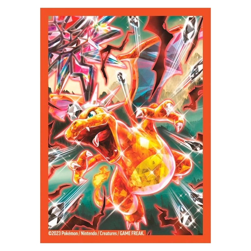 SET 65 BUSTINE PROTETTIVE DI CHARIZARD PER CARTE POKEMON