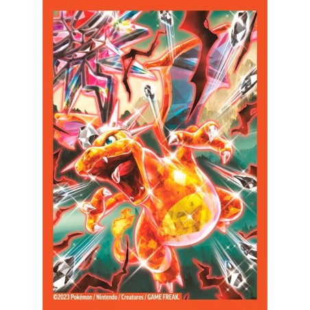 SET 65 BUSTINE PROTETTIVE DI CHARIZARD PER CARTE POKEMON